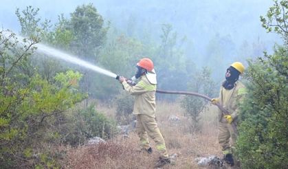 Antalya'da orman yangını