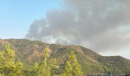 Marmaris'teki orman yangınında ikinci gün: Havadan ve karadan müdahale sürüyor