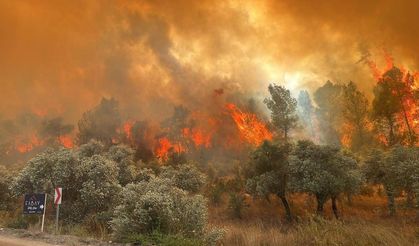 5 ildeki orman yangınlarında 92 bağımsız bölüm hasar gördü