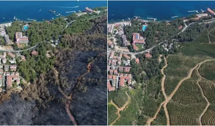 Muğla yeniden yeşile büründü