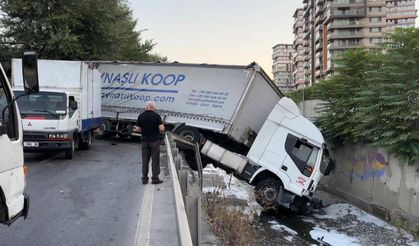 Halı yüklü tır dereye devrildi