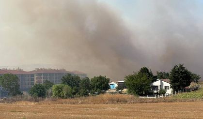 Silivri'de tarlada başlayan yangın yayıldı