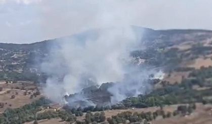 Bursa'da çıkan orman yangınına müdahale ediliyor