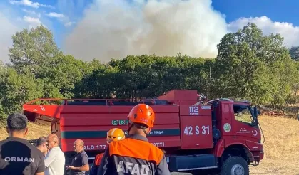 Konya'da orman yangını