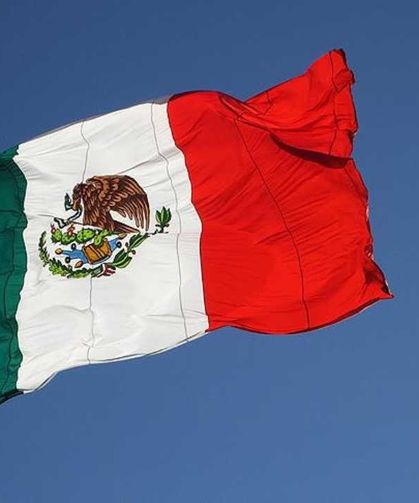 Meksika’da küçük uçak düştü: En az 7 ölü