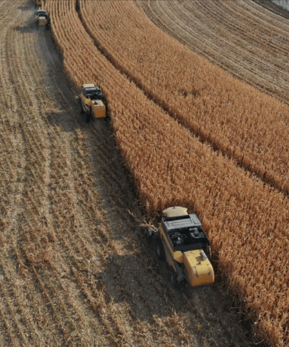 Tarımsal destek ödemesi yapılıyor