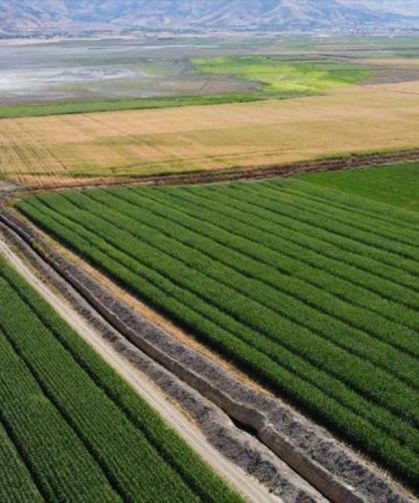 Tarımsal destek ödemeleri çiftçilerin hesaplarına yatıyor