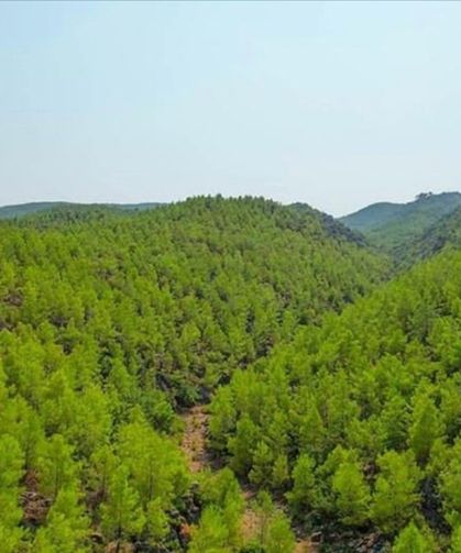 Antalya'da ormanlara giriş yasağı başlıyor