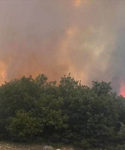 Orman yangınlarına 39 bin gönüllü destek oldu