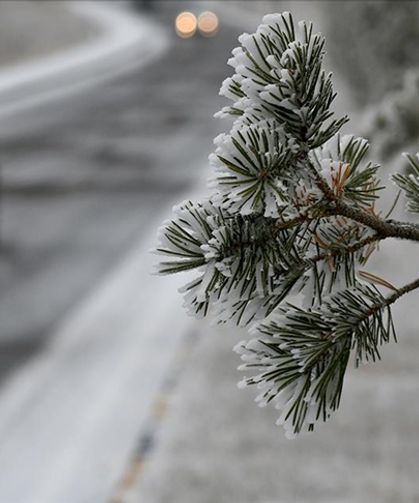 Ardahan-Şavşat kara yolu trafiğe kapatıldı