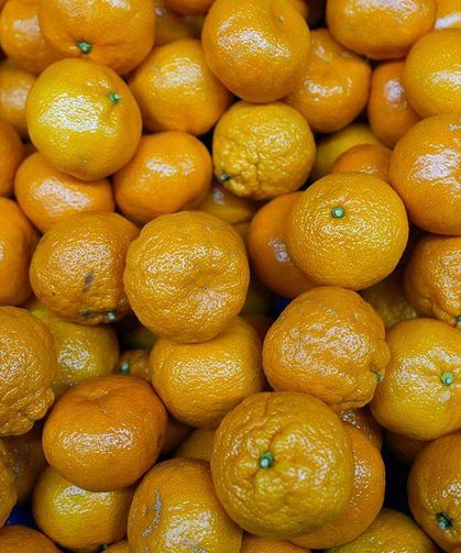 Mandalinada tarihi ihracat rekoru