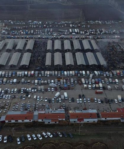 Şarkışla Canlı Hayvan Pazarı yeniden açıldı