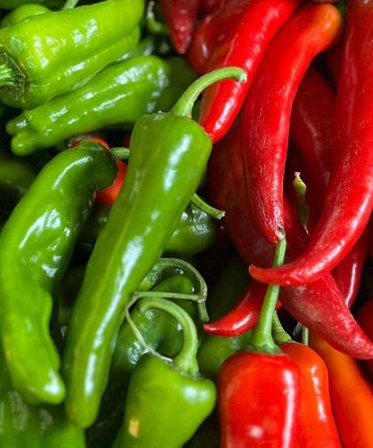 Batı Akdeniz'in ihracat şampiyonu biber oldu