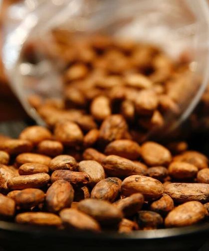 Türkiye'den kakao ihracatında rekor