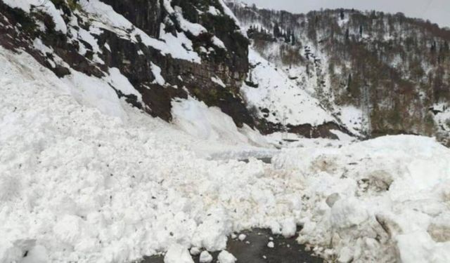 Çığ düşen Van-Hakkari kara yolu tek şeritten ulaşıma açıldı