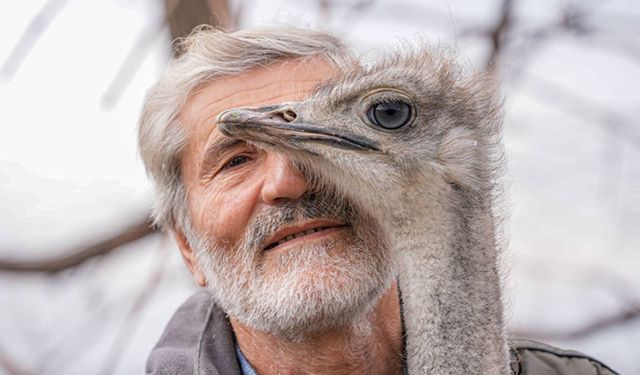 Deve kuşu büyüdüğü mahalleye geri döndü