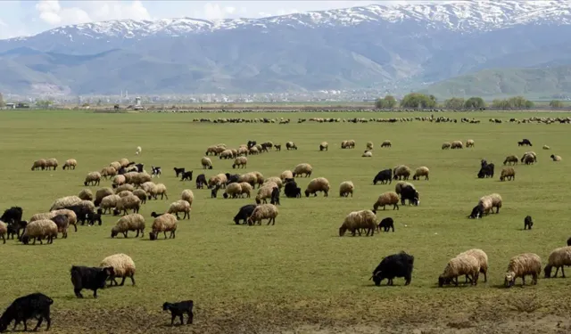 Kırsalda yaşayanların nüfusu azalıyor