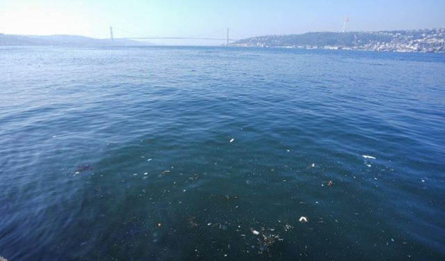 Üsküdar'da kanalizasyon suyu çevreyi kirletiyor