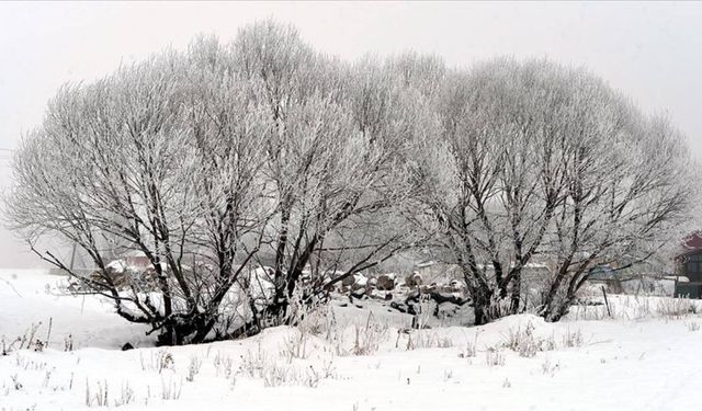 Ardahan'da termometreler -18,5 dereceyi gösterdi