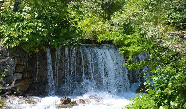 Tunceli Munzur Gözeleri'nde suya girme yasağı getirildi