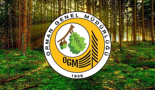 Orman Genel Müdürlüğü’ne 4 Bin 500 Geçici İşçi Alımı Yapılacak!