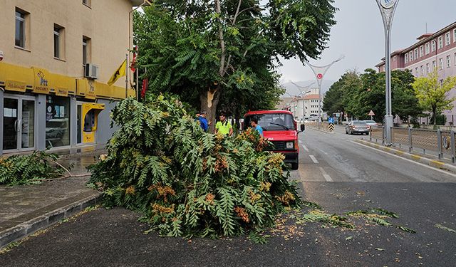 Erzincan'da şiddetli fırtına: Telefon direkleri devrildi!