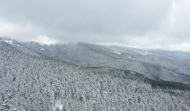 Bolu'nun karla kaplanan yüksek kesimleri havadan görüntülendi