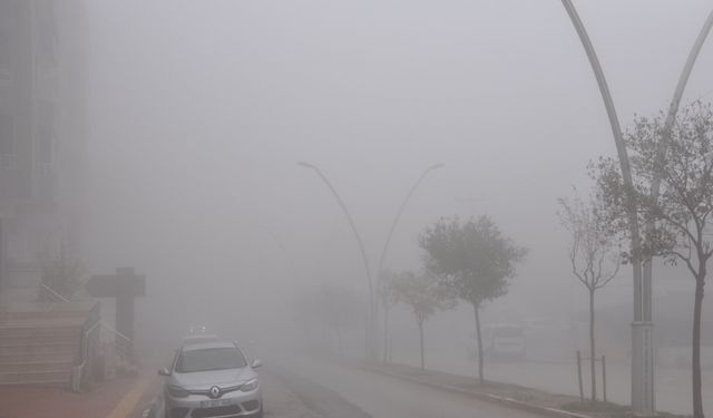 Mardin'de yoğun sis etkili oluyor