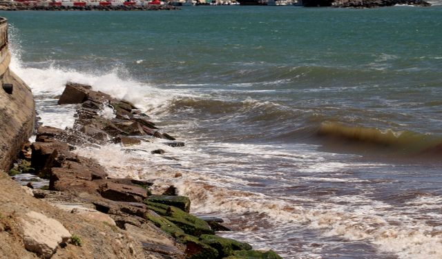 Tekirdağ'da poyraz sahile kırmızı yosun taşıdı