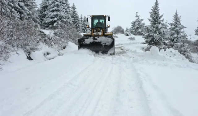 Ordu kara teslim oldu