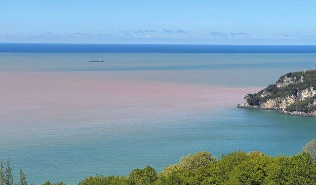Bartın'da denizin rengi değişti