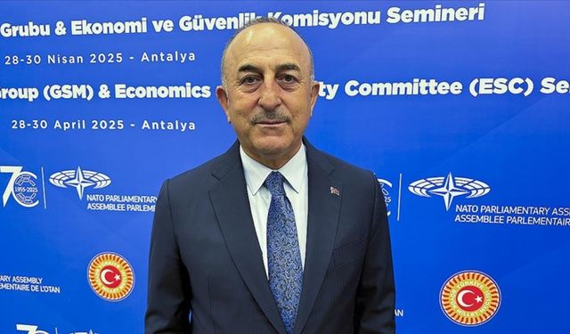 NATO Parlamenter Asamblesi'nin Antalya'daki semineri sona erdi