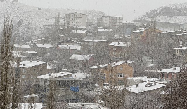 Hakkari'de nisanda kar etkili oldu
