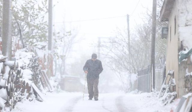 Bingöl'de kar yağışı etkili oldu
