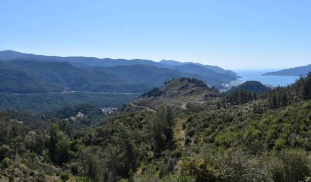 Denizli'de ormanlık alanlara girişler 5 ay süreyle yasaklandı