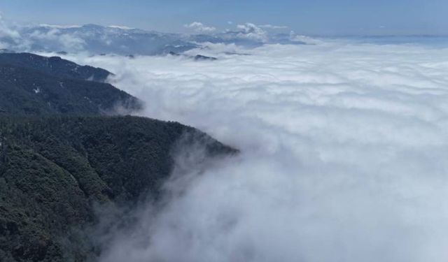 Ordu'da sis nedeniyle uçak seferlerinde aksama yaşandı