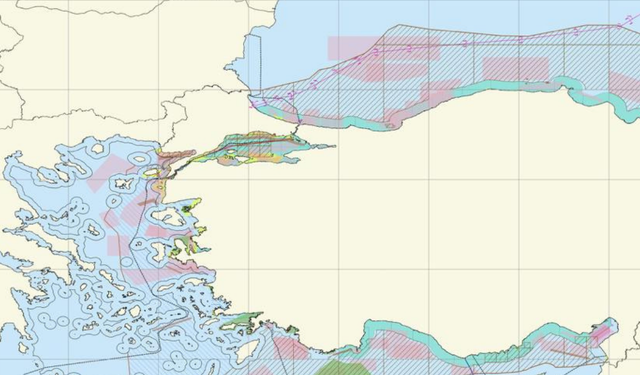 Denizcilik Mekansal Planlaması haritasını yayımladı