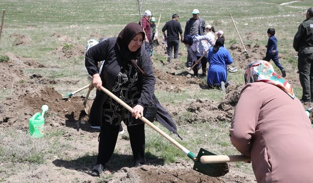 Erzurum'da fidanlar AK Parti'nin eş zamanlı organizasyonuyla toprakla buluştu