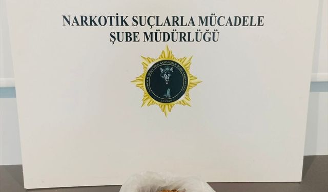 Samsun'da uyuşturucu operasyonunda 1 zanlı yakalandı