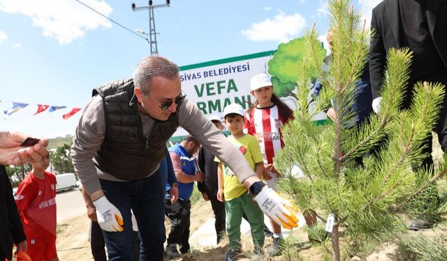 Sivas'ta vefat eden 535 kişi anısına fidan dikildi