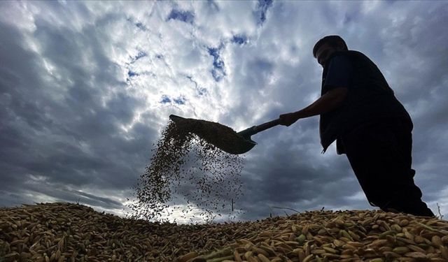 Çiftçilere 1 milyar 46 milyon lira tarımsal destekleme ödemesi bugün yapılacak