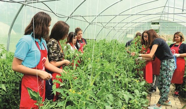 Tarım sektörü gençler için cazip hale getiriliyor