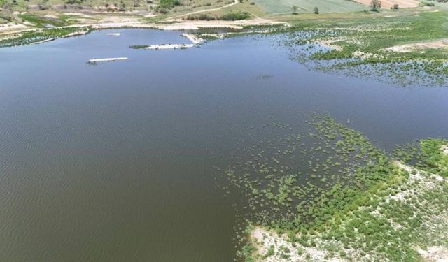 Göleti kirleten çiftliğe 668 bin lira ceza