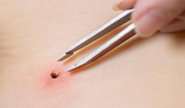 Tokat'ta 3 kişi KKKA'dan tedavi görüyor