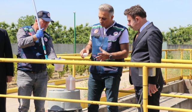 Tekirdağ'da müsilaj denetimi