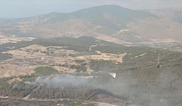 Adana'da çıkan orman yangınına müdahale ediliyor