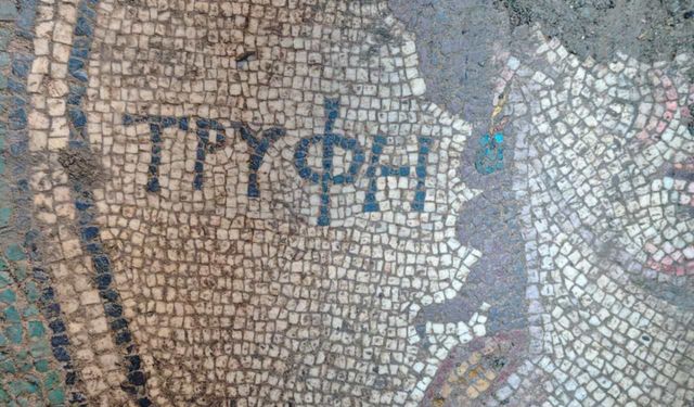 Tokat'ta kaçak kazıda Roma dönemine ait mozaik bulundu