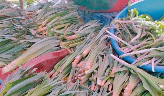 Van’da yöresel otlara yoğun ilgi uçkun ve diğer şifalı bitkiler tezgâhlarda yerini aldı