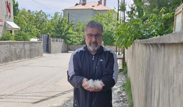 Van’da polenler insanları hastanelik ediyor: Binlerce kişi mağdur, yetkililere acil çağrı