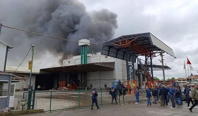 Sakarya'da fabrika yangını!
